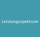 Leistungsspektrum