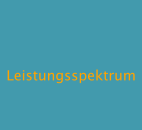 Leistungsspektrum